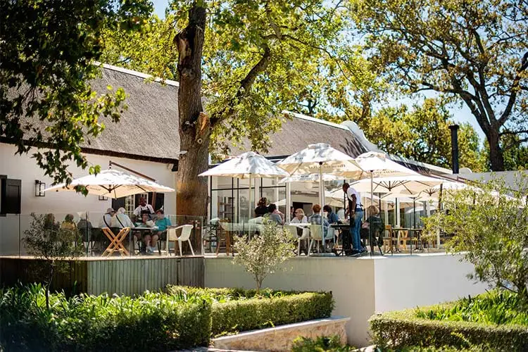 the-werf-boschendal-new-chef-eric-bulpitt-2023-outdoor-dining