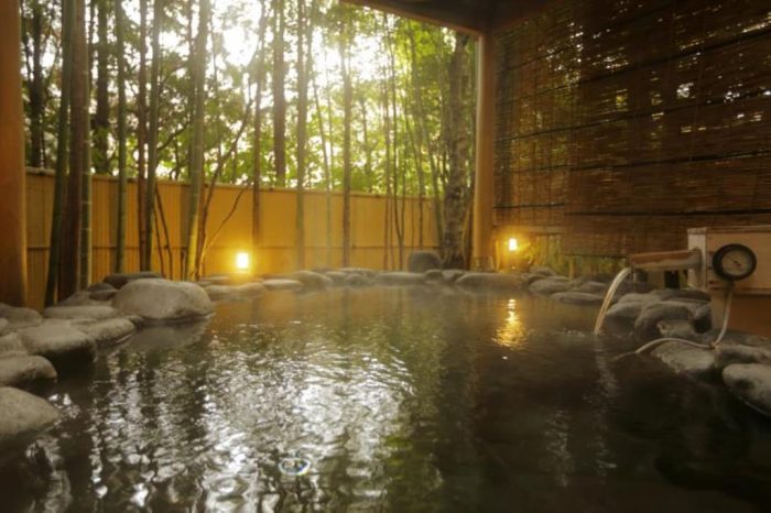 Hakone Japon Onsen