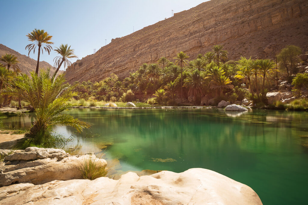 Amazing Lake and oasis with palm trees (Wadi Bani Khalid) in the Omani desert
