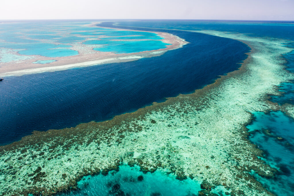 This is the great Barrier Reef. Austalie barrière corail