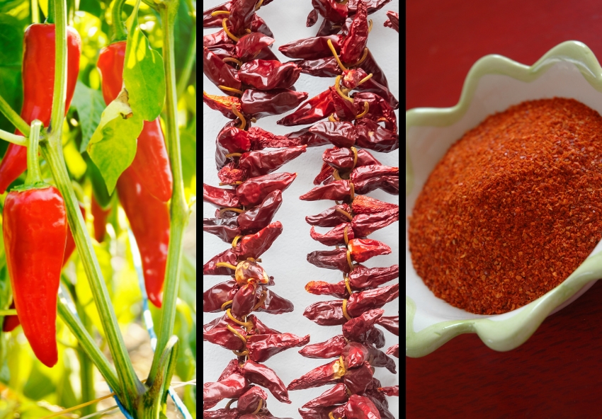 piments espelette trois forme
