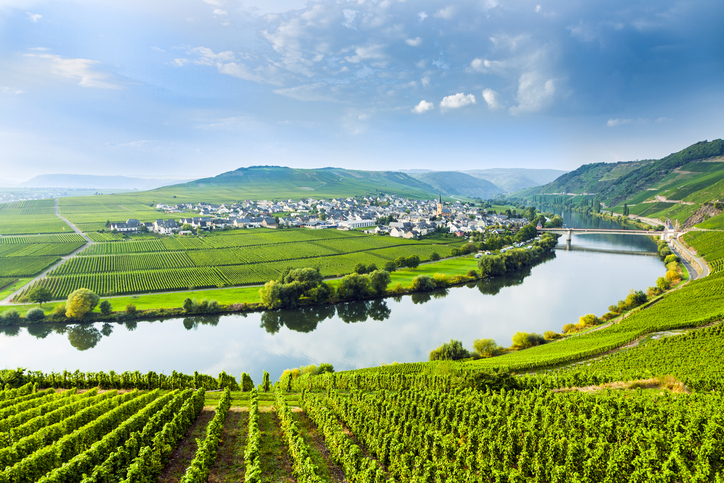 famous Moselle Sinuosity in Trittenheim, germany