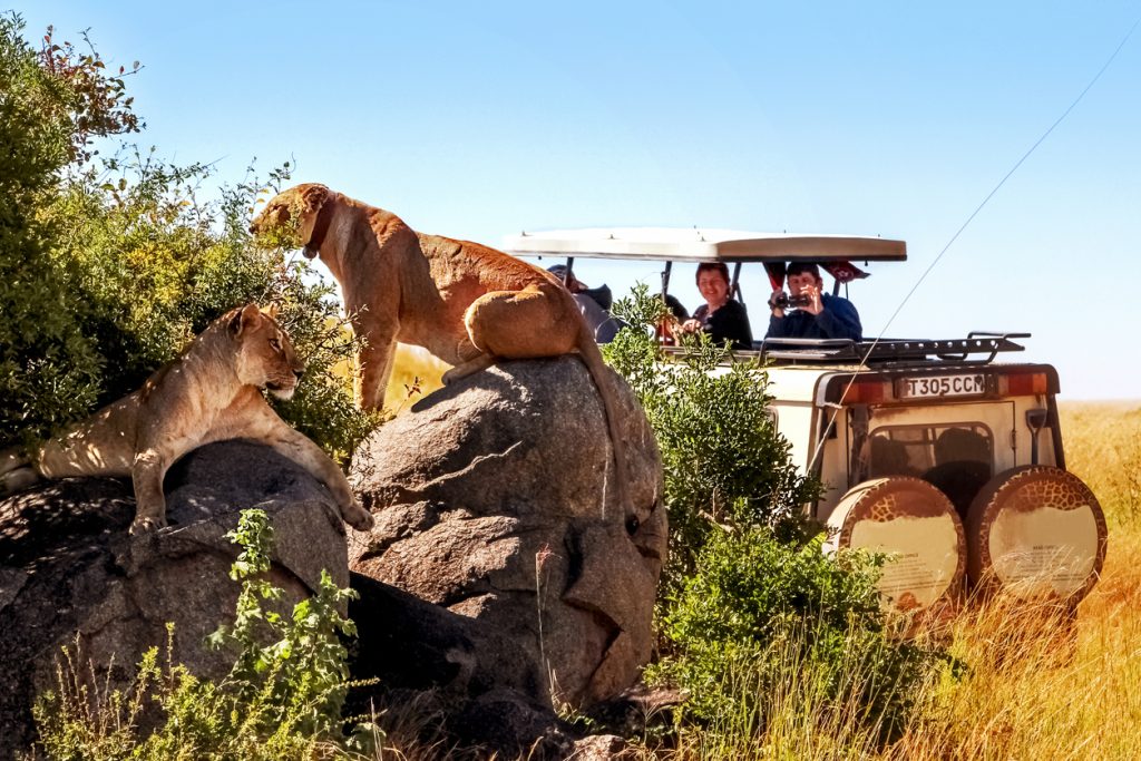 safari afrique kenya tanzanie serengeti